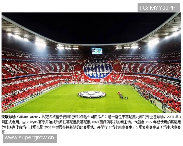 足球联赛主场优势对比赛结果的影响